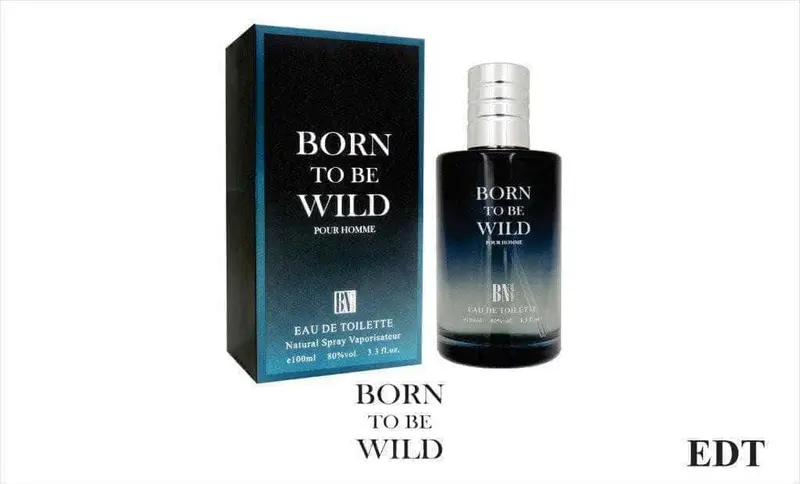 Born To Be Wild for him by Blue Dreams