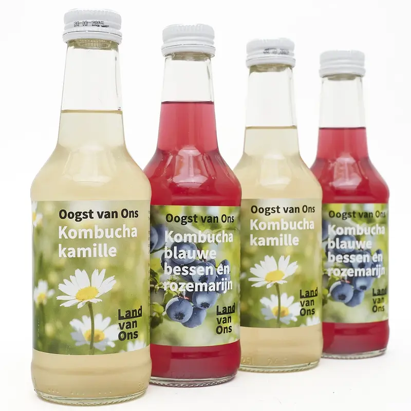 Kombucha 4-pack